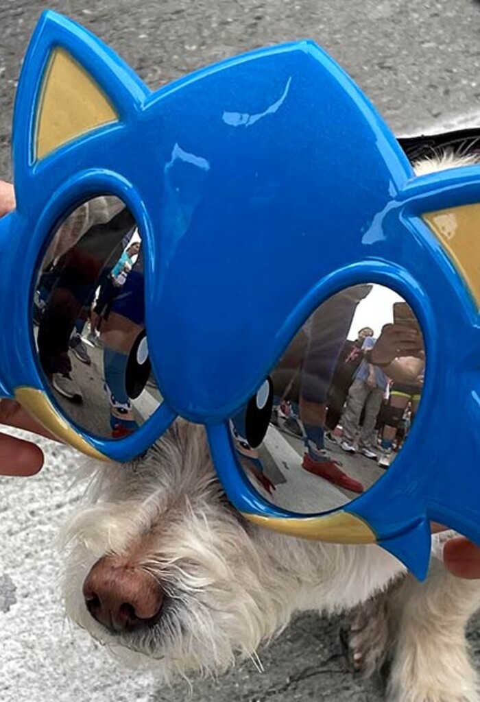 https://www.blur.com/media/pages/feed/blur-at-the-screenland-5k/79bf02b6d4-1752858109/blur_5k_sonic_01b-700x1024-crop.jpg